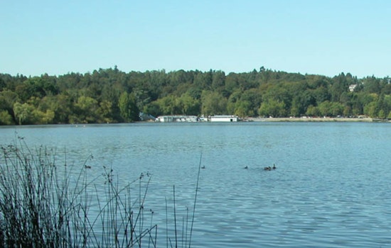 Toxic Gunk Turns Seattle's Green Lake Into No-Go Zone For Swimmers And Dogs