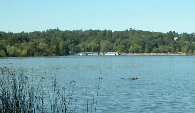 Toxic Gunk Turns Seattle's Green Lake Into No-Go Zone For Swimmers And Dogs