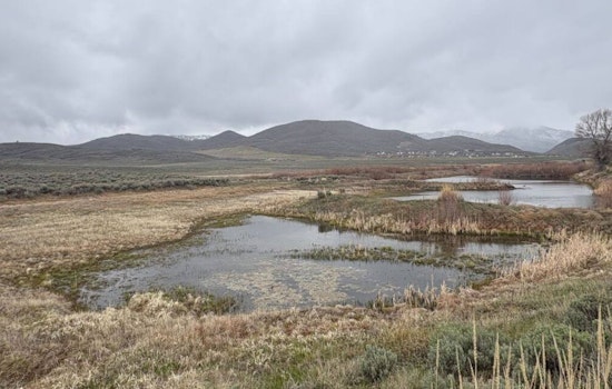 Toxic Tailings Showdown: Park City Gets Say On $20M Richardson Flat Cleanup