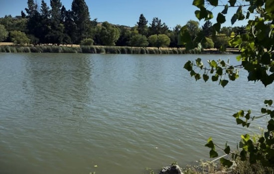 Tragedy At Cottonwood Lake: Body Pulled From Popular San Jose Park