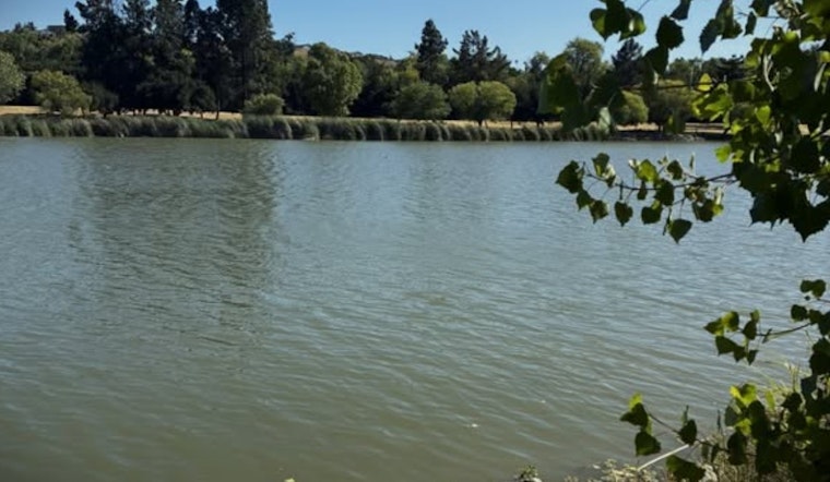 Tragedy At Cottonwood Lake: Body Pulled From Popular San Jose Park
