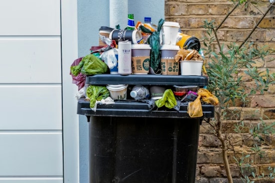 Trash Cam Crackdown Could Cost Peninsula Residents $15 a Pop