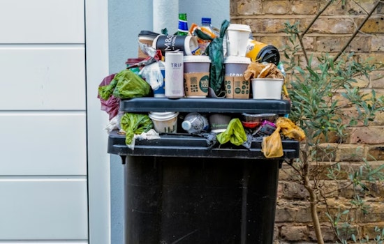 Trash Cam Crackdown Could Cost Peninsula Residents $15 a Pop