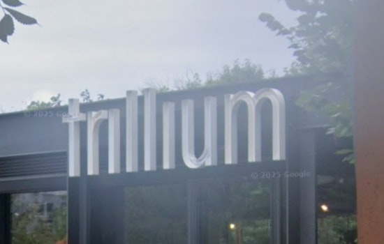 Trillium Plants a Harborfront Beer Garden Right on Rowes Wharf