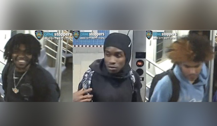 Trio Jumps 5 Train Rider In Church Ave Subway Stickup