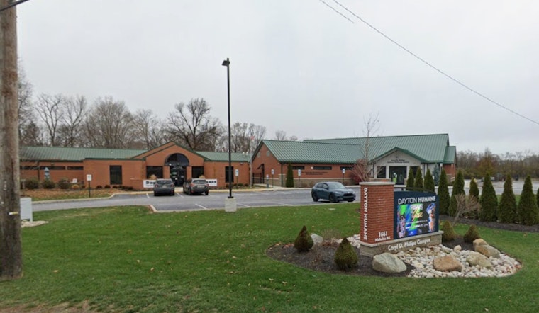 Trotwood RV Of Filth Yields 40 Cats In Dayton Humane Rescue