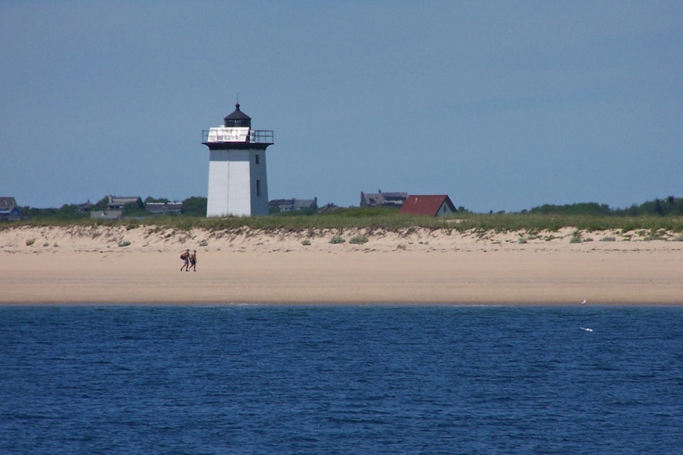Trump Order Quietly Throws Open Cape Cod And Parklands To More Hunters