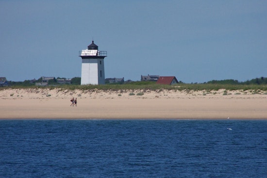 Trump Order Quietly Throws Open Cape Cod And Parklands To More Hunters