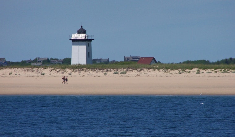 Trump Order Quietly Throws Open Cape Cod And Parklands To More Hunters