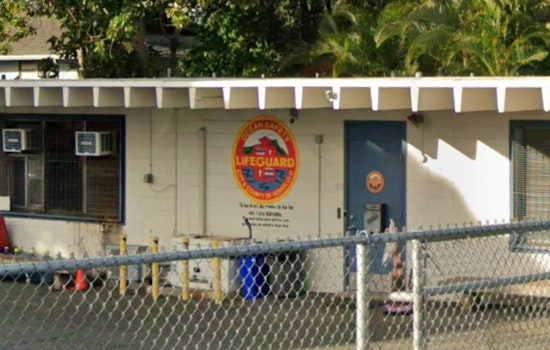 Twin Sharks Crash Oahu’s Electric Beach, Lifeguards Post Warnings