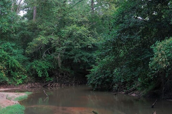 Two Children Die After Drowning in Turkey Creek in Pinson