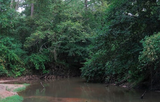 Two Children Die After Drowning in Turkey Creek in Pinson