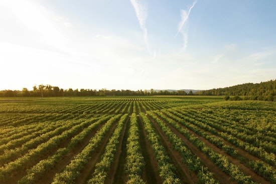 U Of M Study Says Poorer Nations’ Boom Could Help Save Global Farmland