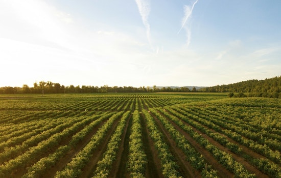 U Of M Study Says Poorer Nations’ Boom Could Help Save Global Farmland