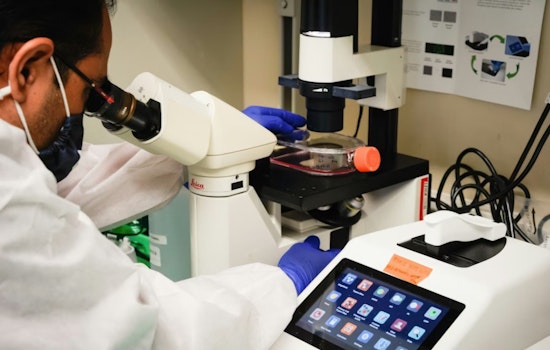 UC San Diego Lab Unleashes AI Score That Redraws Type 1 Diabetes Risk