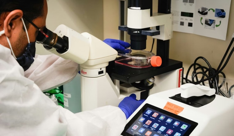 UC San Diego Lab Unleashes AI Score That Redraws Type 1 Diabetes Risk