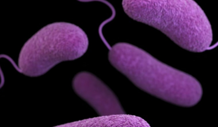 UF Lab Plots Tampa Bay Crackdown on Flesh-Eating Bacteria