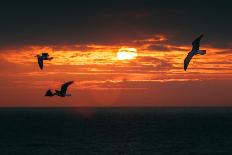 UN Sounds Five-Year Heat Alarm as Planet Poised to Roast Past 1.5C