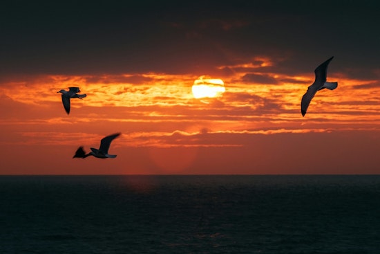 UN Sounds Five-Year Heat Alarm as Planet Poised to Roast Past 1.5C