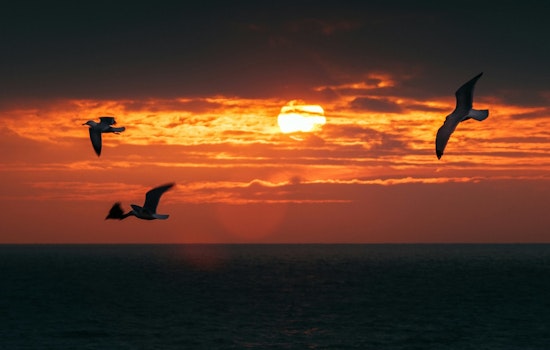 UN Sounds Five-Year Heat Alarm as Planet Poised to Roast Past 1.5C