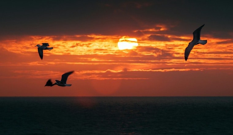 UN Sounds Five-Year Heat Alarm as Planet Poised to Roast Past 1.5C