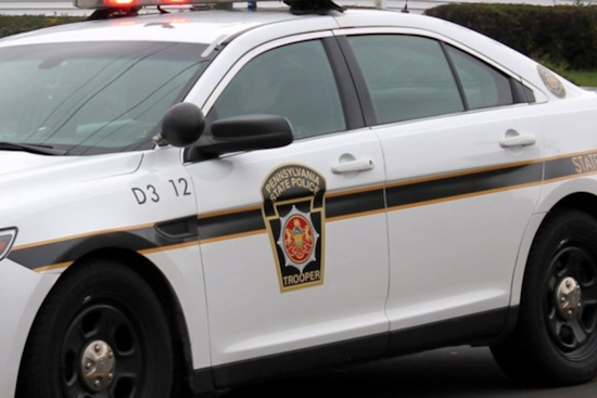Uniontown Cousin Busted In Alleged Park Sex Plot Targeting 13-Year-Old