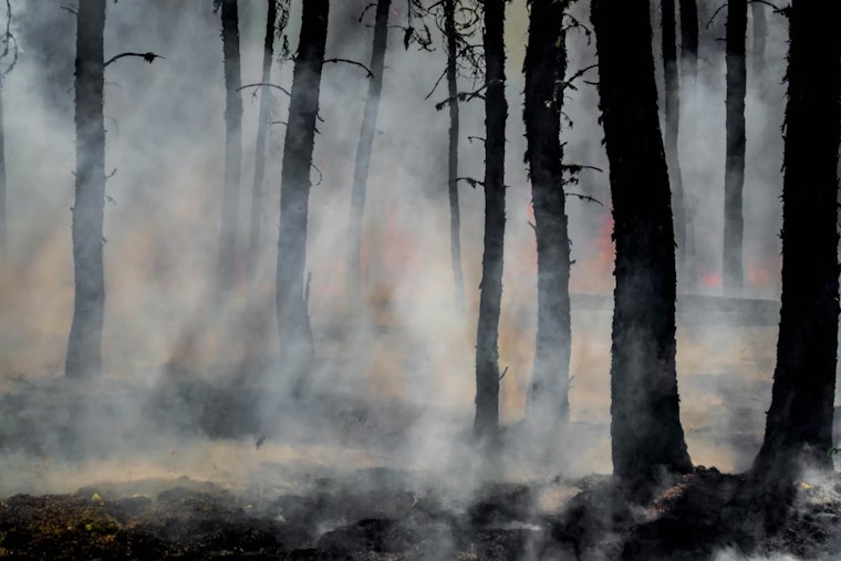 Utah On A Hair‑Trigger As Officials Brace For Brutal Wildfire Season
