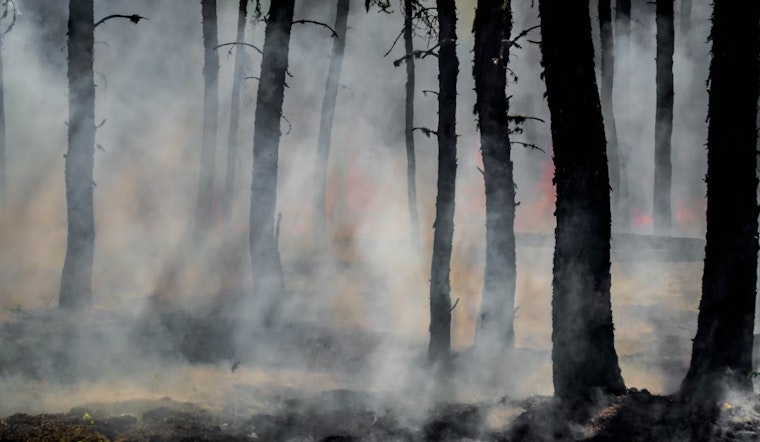 Utah On A Hair‑Trigger As Officials Brace For Brutal Wildfire Season