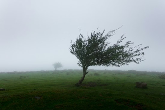 Vegas On Edge As Howling Winds Threaten To Rock The Valley