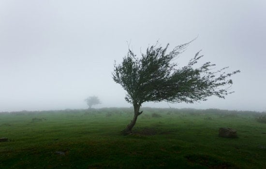Vegas On Edge As Howling Winds Threaten To Rock The Valley