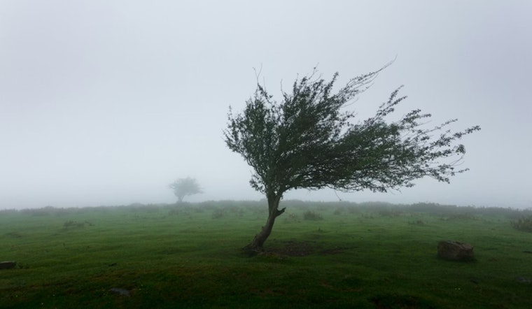 Vegas On Edge As Howling Winds Threaten To Rock The Valley