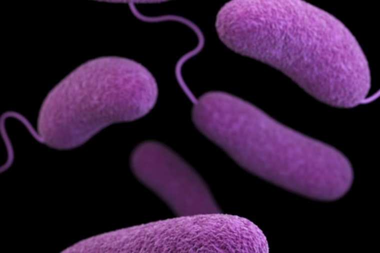 Deadly Beach Bacteria Puts North Carolina Coast On Alert