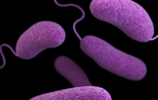 Deadly Beach Bacteria Puts North Carolina Coast On Alert