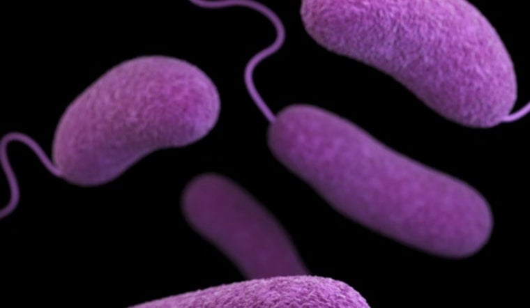 Deadly Beach Bacteria Puts North Carolina Coast On Alert