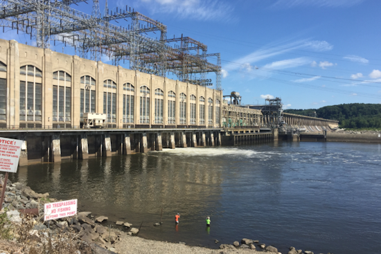 Vulture Flu Scare Slams Harford County's Conowingo Trails