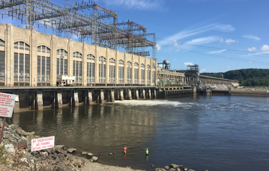 Vulture Flu Scare Slams Harford County's Conowingo Trails