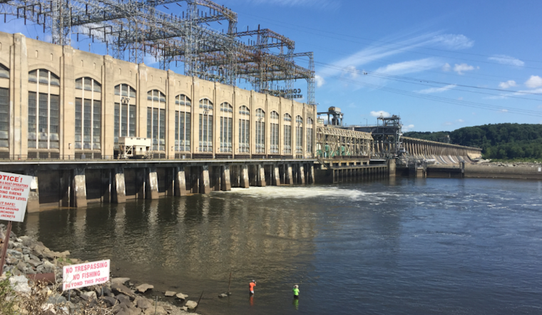 Vulture Flu Scare Slams Harford County's Conowingo Trails