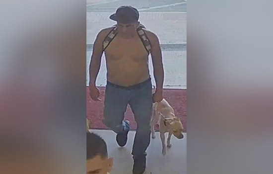Waipahu Morning Robbery: New Video Shows Duo In Violent Parking Lot Attack
