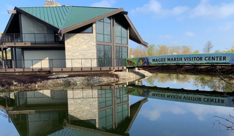 Warbler Invasion: Magee Marsh Gears Up For Biggest Week Birding Blitz