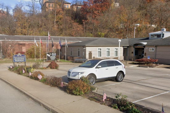 West Homestead Hunt On For Hit-and-Run Driver After Dog Killed On Quiet Corner