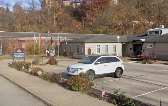 West Homestead Hunt On For Hit-and-Run Driver After Dog Killed On Quiet Corner