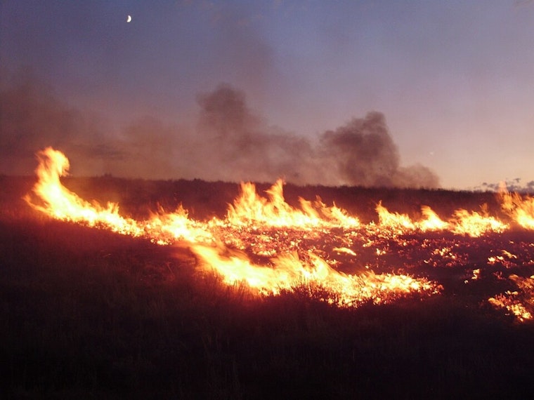 Whitaker Fire Erupts in Los Angeles County