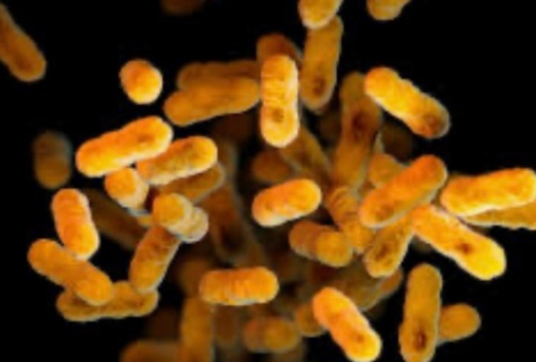 Whooping Cough Confirmed at Blair Middle School in Pasadena