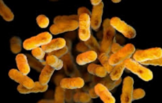 Whooping Cough Confirmed at Blair Middle School in Pasadena