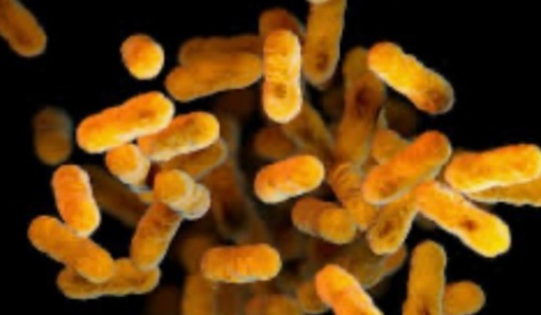 Whooping Cough Confirmed at Blair Middle School in Pasadena