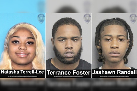 Williams Boulevard Heist Try Triggers Chase, Crash and K‑9 Manhunt in Algiers