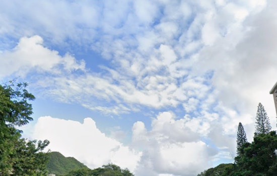 Windy Friday Puts Honolulu On Umbrella Watch