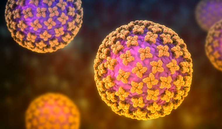 Winnebago Hantavirus Probe Not Linked To Cruise Ship
