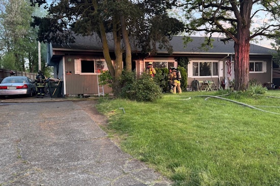 Yelm Kids Bolt From Bedroom Blaze as Family Pets Perish