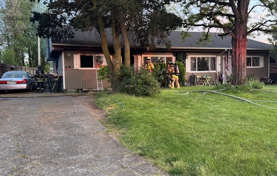 Yelm Kids Bolt From Bedroom Blaze as Family Pets Perish